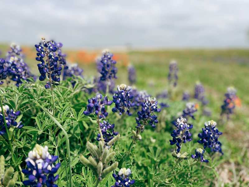 city-of-caldwell-city-secretary-s-office